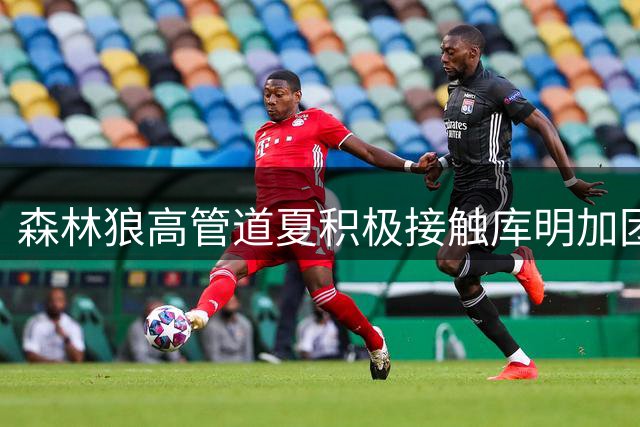 森林狼高管道夏积极接触库明加团队 曾专程赴迈阿密会晤
