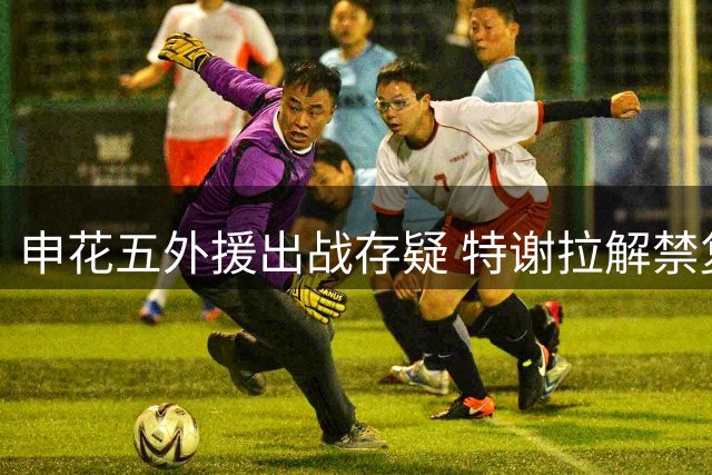 申花五外援出战存疑 特谢拉解禁复出迎关键战